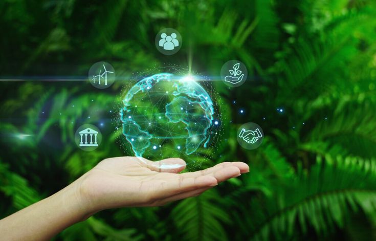 Biomass Renewable Energy