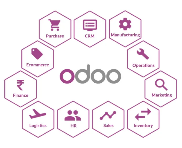 Odoo ERP Implementation – 16% Growth in Digital Sales